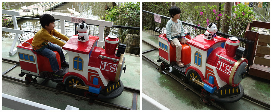 绿盈牧场〈餵牛羊,手摇船,游湖小火车,赛鹅,推牧草〉好好玩