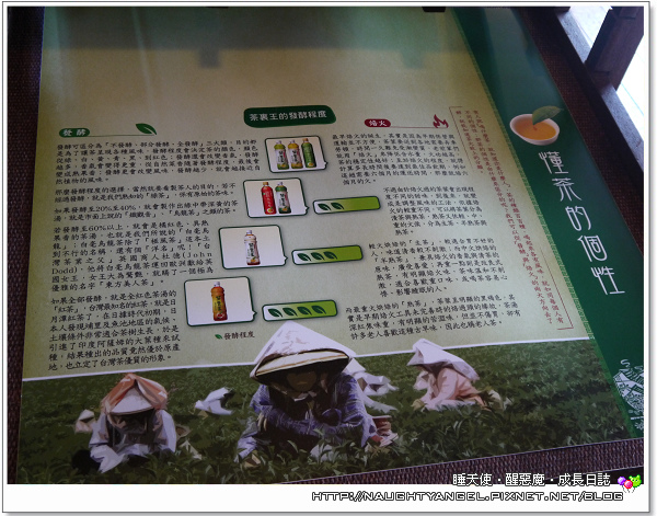 茶裡王F3 茶裡王F3
