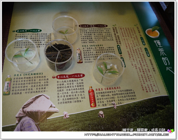 茶裡王F4 茶裡王F4