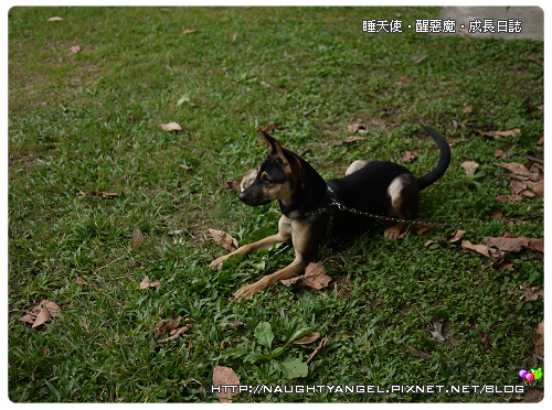 身聲大地異國樂器響宴 祈雨棒diy 睡天使醒惡魔成長日誌